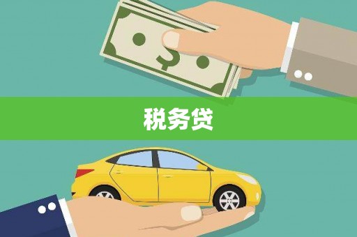 榆中税务贷