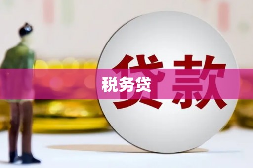 榆中税务贷