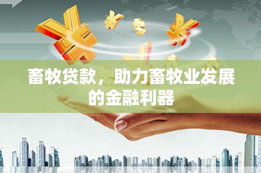 榆中畜牧贷款，助力畜牧业发展的金融利器
