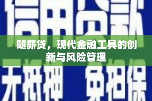 榆中随薪贷，现代金融工具的创新与风险管理