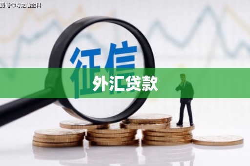 榆中外汇贷款
