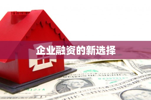 榆中企业融资的新选择