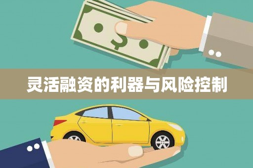 榆中灵活融资的利器与风险控制