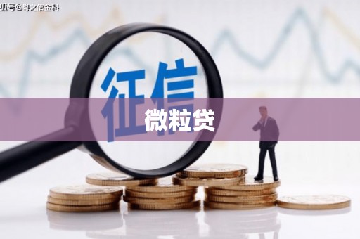 榆中微粒贷