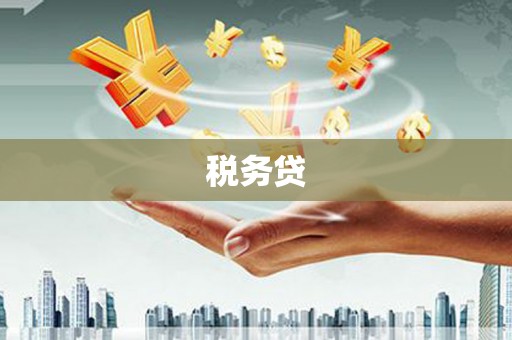 榆中税务贷