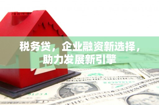 榆中税务贷，企业融资新选择，助力发展新引擎
