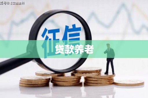 榆中贷款养老