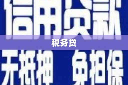 榆中税务贷