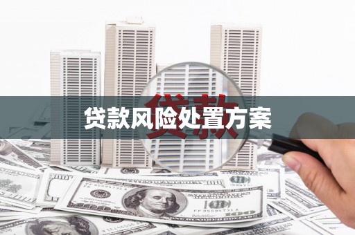 榆中贷款风险处置方案