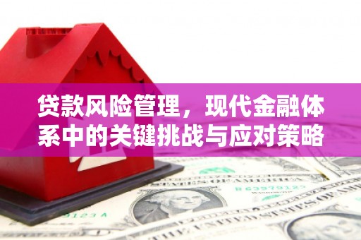 榆中贷款风险管理，现代金融体系中的关键挑战与应对策略