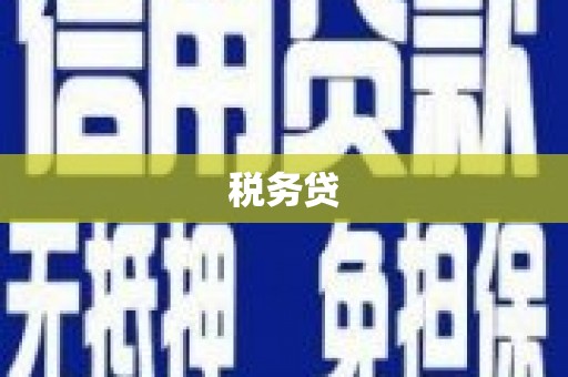 榆中税务贷