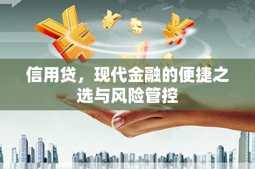 榆中信用贷，现代金融的便捷之选与风险管控