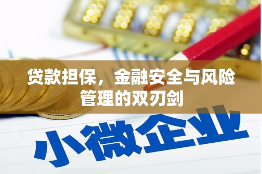榆中贷款担保，金融安全与风险管理的双刃剑