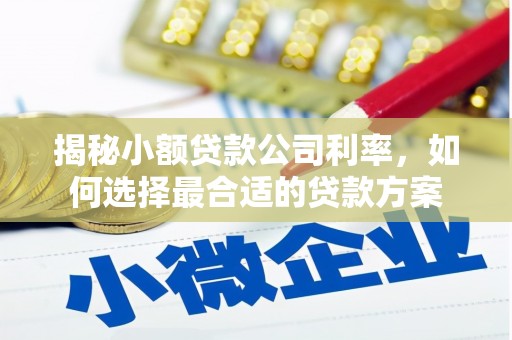 榆中揭秘小额贷款公司利率，如何选择最合适的贷款方案