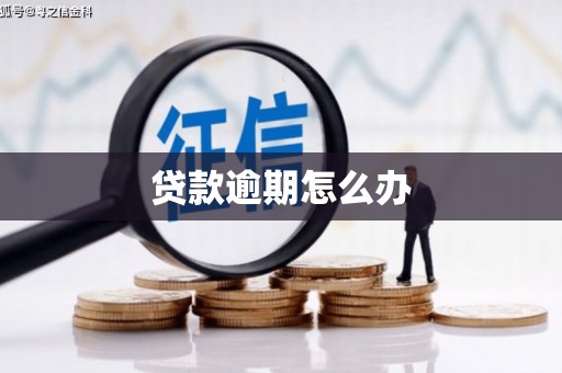 榆中贷款逾期怎么办