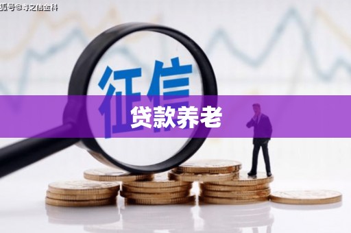 榆中贷款养老