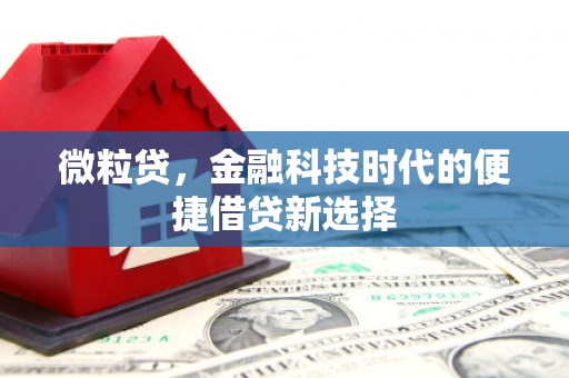 榆中微粒贷，金融科技时代的便捷借贷新选择