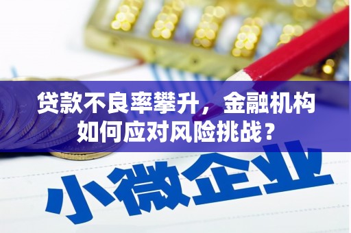 榆中贷款不良率攀升，金融机构如何应对风险挑战？