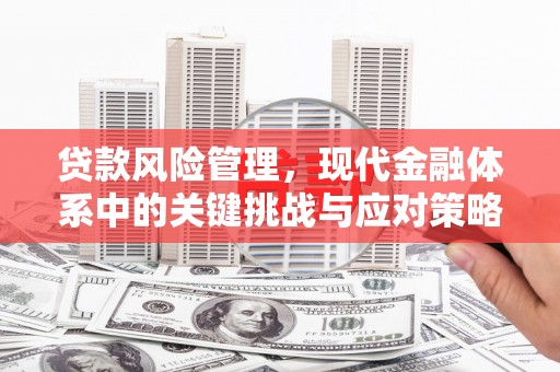 榆中贷款风险管理，现代金融体系中的关键挑战与应对策略