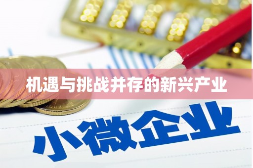 榆中机遇与挑战并存的新兴产业