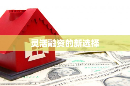 榆中灵活融资的新选择