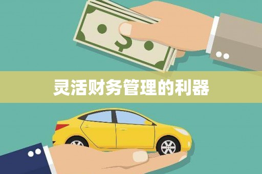 榆中灵活财务管理的利器