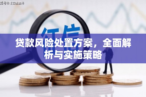 榆中贷款风险处置方案，全面解析与实施策略