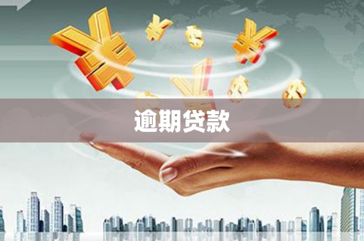 榆中逾期贷款
